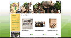 Desktop Screenshot of fundacionbangassou.com